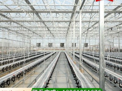 供应智能玻璃温室大棚 连栋温室大棚 农业大棚 温室玻璃温室图3