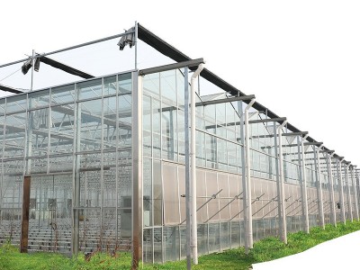 供应智能玻璃温室大棚 连栋温室大棚 农业大棚 温室玻璃温室图4