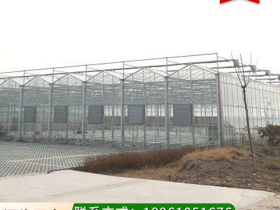 供应智能玻璃温室大棚 连栋温室大棚 农业大棚 温室玻璃温室图2