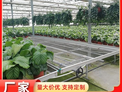 【花卉苗床】大棚盆景栽培移动潮汐式金属铁丝网大棚温室花卉苗床图2