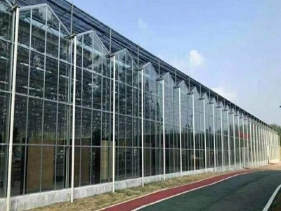 金澎智能玻璃温室 连栋大棚智能控制 厂家供应联动温室骨架配件图4