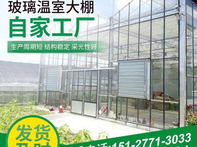 厂家定制 玻璃温室大棚 设计安装花卉园林智能温室 玻璃暖棚图4