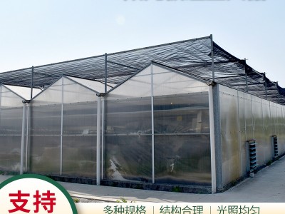 PC阳光板温室玻璃大棚 蔬菜种植观光展览温室展厅可定 厂家供应图1