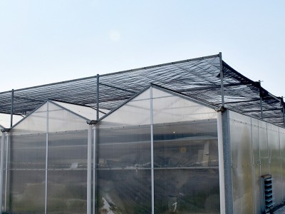 PC阳光板温室玻璃大棚 蔬菜种植观光展览温室展厅可定 厂家供应图4
