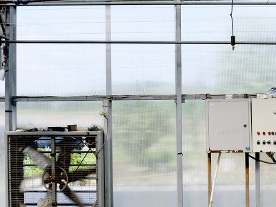 PC阳光板温室玻璃大棚 蔬菜种植观光展览温室展厅可定 厂家供应图2