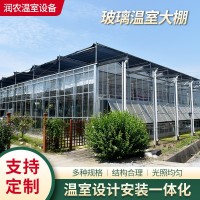 厂家可定玻璃温室大棚 阳光连栋休闲观光温室玻璃农业养殖大棚