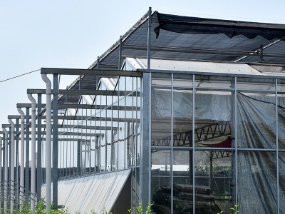 厂家可定玻璃温室大棚 阳光连栋休闲观光温室玻璃农业养殖大棚图3