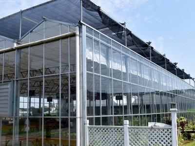 厂家可定玻璃温室大棚 阳光连栋休闲观光温室玻璃农业养殖大棚图4