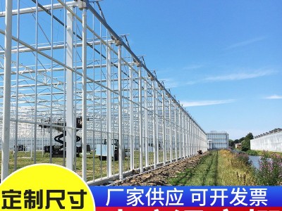 农业玻璃温室大棚 阳光生态温室 花卉 果蔬养殖大棚 包测量安装图3