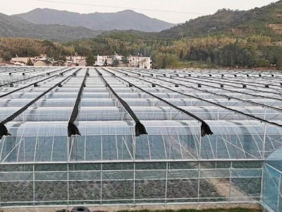 农业玻璃温室大棚 阳光生态温室 花卉 果蔬养殖大棚 包测量安装图4