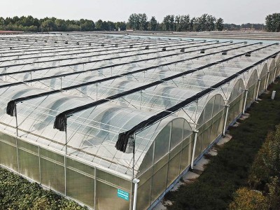 农业玻璃温室大棚 阳光生态温室 花卉 果蔬养殖大棚 包测量安装图5