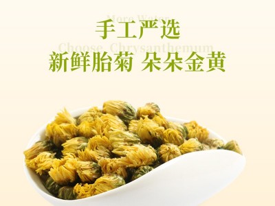 桐乡头采胎菊批发50g/瓶 胎菊王菊花茶工厂直销一件代发图2