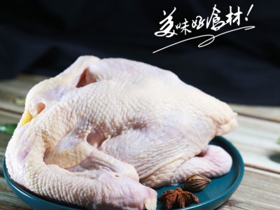 清真农家三黄鸡生态散养土鸡老母鸡笨鸡山鸡鸡肉月子鸡可一件代发图3
