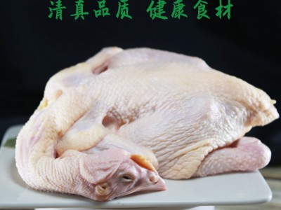 清真农家三黄鸡生态散养土鸡老母鸡笨鸡山鸡鸡肉月子鸡可一件代发图4