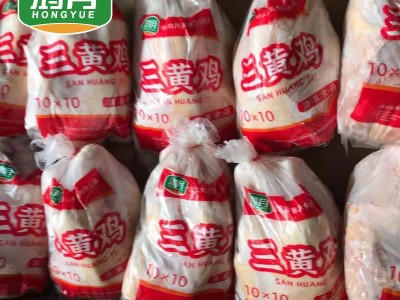鸿月农家三黄鸡白条鸡实力厂家 量大价格实惠 现货批发电商供货图3