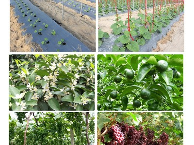 花无缺水溶性肥料园艺肥料育苗复合肥控释肥厂家现货水溶肥料图3