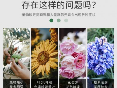 花无缺水溶性肥料园艺肥料育苗复合肥控释肥厂家现货水溶肥料图4