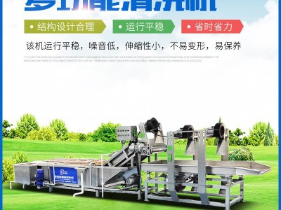 多功能果蔬清洗机 商用不锈钢喷淋清洗机 山野菜去农残气 泡清洗机图1