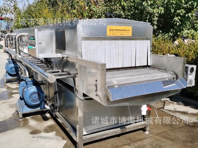 供应牛肉罐头洗罐机 辣椒苹果气泡清洗机 净菜加工清洗生产线图2
