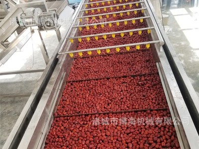 供应牛肉罐头洗罐机 辣椒苹果气泡清洗机 净菜加工清洗生产线图4