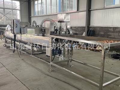 厂家供应大型商用全自动洗蛋机 养殖场蛋品鸡蛋鸭蛋清洗洗蛋机图3