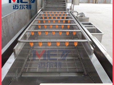 小油菜果蔬清洗机 小龙虾圣女果高压气泡清洗机 净菜清洗流水线图2