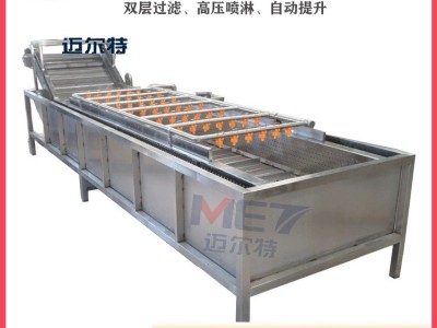 小油菜果蔬清洗机 小龙虾圣女果高压气泡清洗机 净菜清洗流水线图4