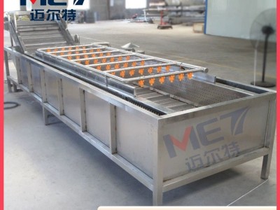 毛豆气泡果蔬清洗机 多功能酸菜脱盐清洗机 辣椒喷淋气泡清洗机图3