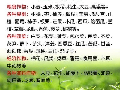 磷酸二氢钾叶面肥微量元素补充作物磷钾肥料着色膨果小麦蔬菜肥料图3