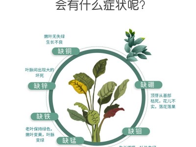 5公斤包装大量元素水溶肥调土壤酸碱双调大田作物可用高氮磷钾图5