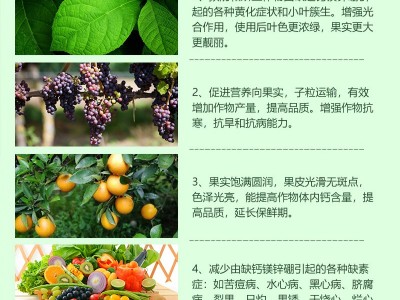 复合多元素螯合大量元素水剂叶面肥全面营养果树蔬菜用25公斤装图3