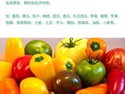 大量元素水溶肥液体氮磷钾大田作物叶面肥25公斤大桶保花保果基地图2