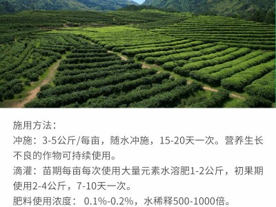 大量元素水溶肥液体氮磷钾大田作物叶面肥25公斤大桶保花保果基地图3