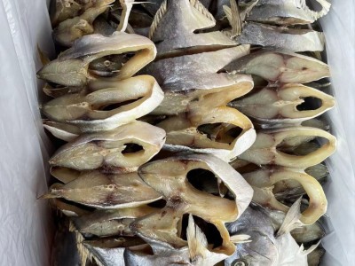 金昌鱼 鱼干 海味水产干货批发 咸鱼图3