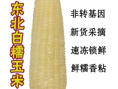 东北甜糯玉米速冻玉米农家新鲜非转因粘糯白玉米香甜黏糯玉米棒图3