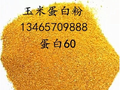 饲料备货 大量销售柠檬酸渣蛋白饲料 玉米淀粉渣 玉米蛋白渣 金图1