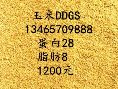 饲料备货 大量销售柠檬酸渣蛋白饲料 玉米淀粉渣 玉米蛋白渣 金图3