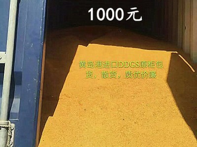 饲料备货 大量销售柠檬酸渣蛋白饲料 玉米淀粉渣 玉米蛋白渣 金图4
