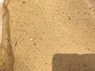 定制供应原料植物性原料水产和畜禽动物喷浆豆渣 高品质蛋白原料2图5