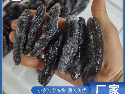 厂家直销冻干小海参 速冻水发大乌参靴参 餐饮海鲜批发图1