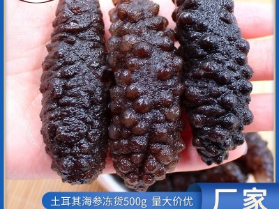 土耳其冰岛米刺参 希腊刺参餐饮食材批发 500g袋装冻干海参水产图1