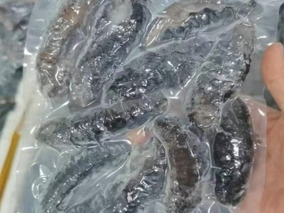 土耳其冰岛米刺参 希腊刺参餐饮食材批发 500g袋装冻干海参水产图4