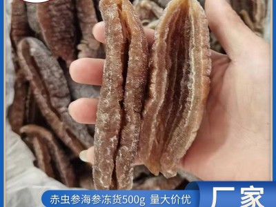 厂家供应冻干海参 冷冻水发赤虫参 速东酒店海鲜食材批发图1