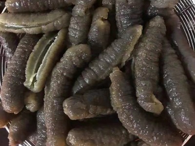 厂家供应冻干海参 冷冻水发赤虫参 速东酒店海鲜食材批发图3