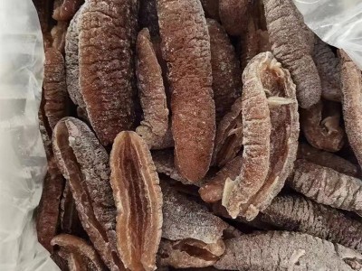 厂家供应冻干海参 冷冻水发赤虫参 速东酒店海鲜食材批发图2