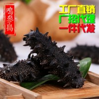 大连纯淡干海参 深海海参干货 厂家直销货源充足 可一件代发 50g