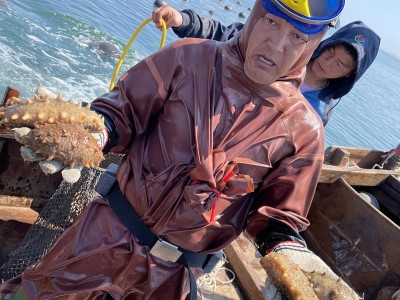 大连纯淡干海参 深海海参干货 厂家直销货源充足 可一件代发 50g图4