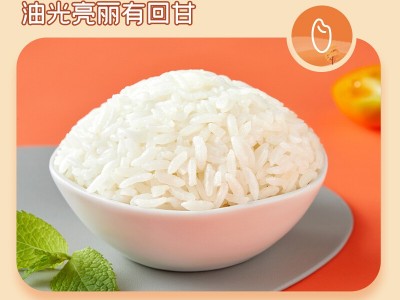 五常精选稻花香10斤当季新米10斤东北大米长粒香米产地直供包邮批图3