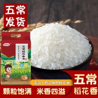 五常精选稻花香10斤当季新米10斤东北大米长粒香米产地直供包邮批