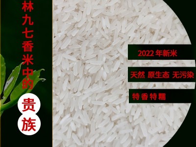 广西上林丝苗米2022年新米优质大米纯正九七香米十斤装大米长粒香图2